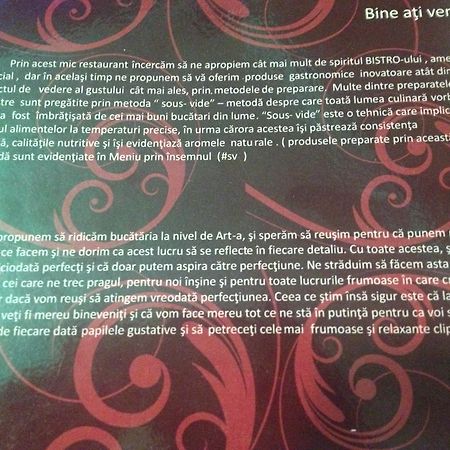 Artmotel & Bistro Haţeg Zewnętrze zdjęcie