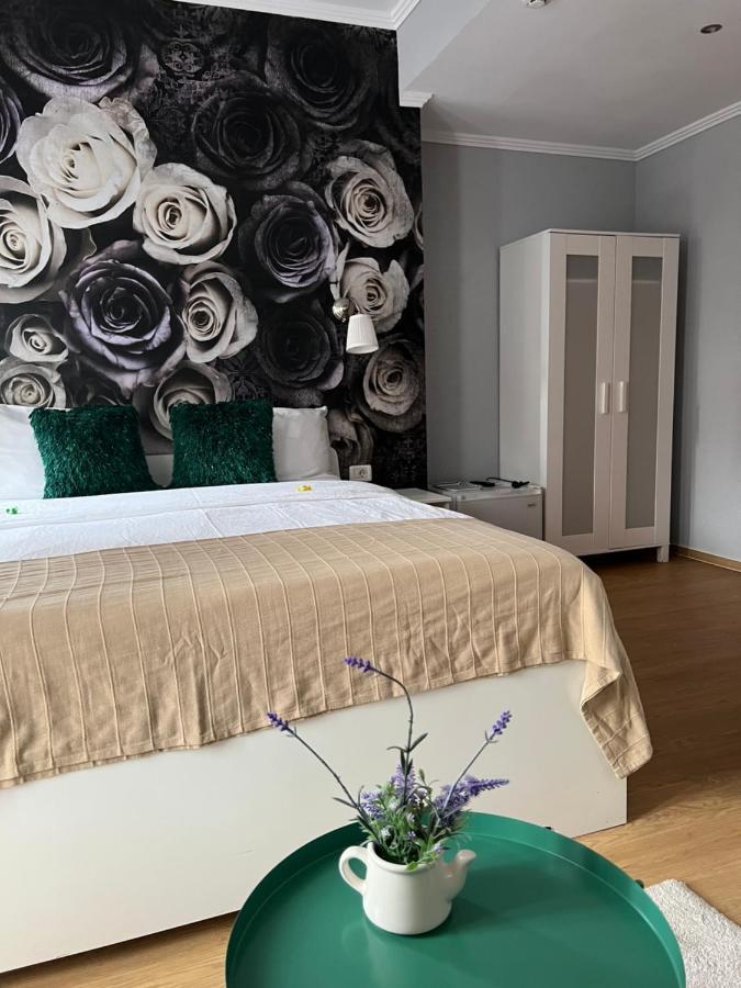 Artmotel & Bistro Haţeg Zewnętrze zdjęcie
