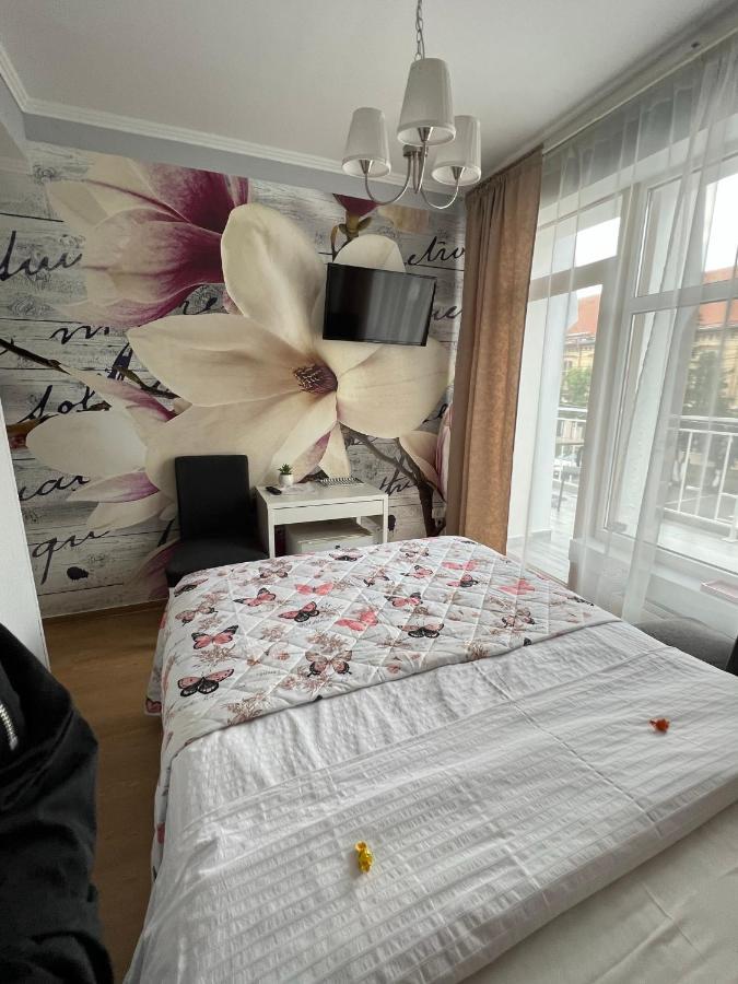 Artmotel & Bistro Haţeg Zewnętrze zdjęcie