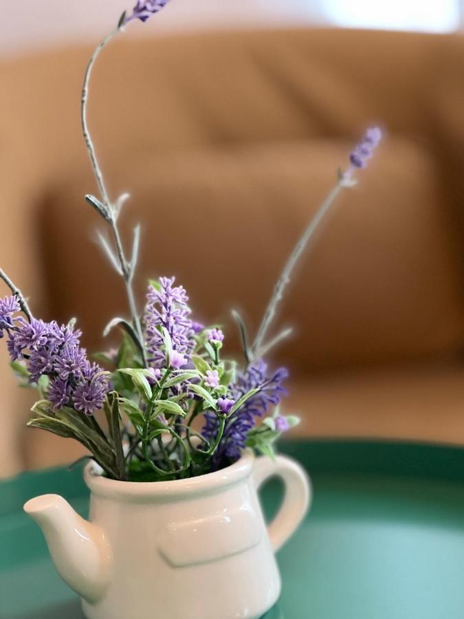 Artmotel & Bistro Haţeg Zewnętrze zdjęcie